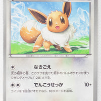 BW8 Spiral Force 042/051	Eevee 1st Edition