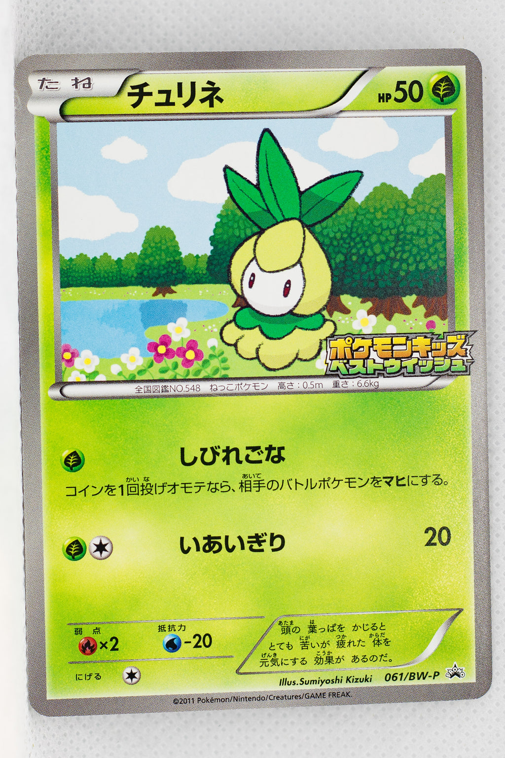 061/BW-P Petilil Pokémon Kids Special Toy Promotion