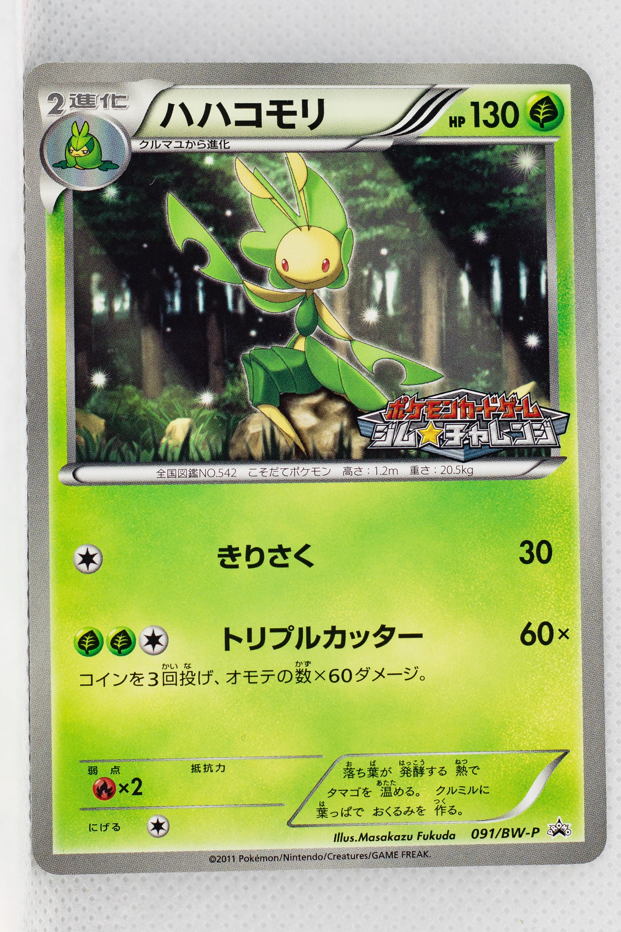 【psa10】2011年 ポケモン B&W ベル ジムチャレンジ プロモ 激レア】2011年 ポケモン B&W ベル ジムチャレンジ プロモpsa10