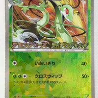198/BW-P Serperior Spiral Force • Thunder Knuckle Campaign Pack Holo
