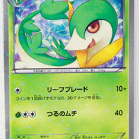 BW Shiny Collection 002/020 Servine Holo 1st Edition