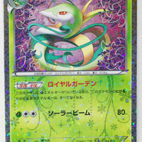 BW Shiny Collection 003/020 Serperior Holo 1st Edition