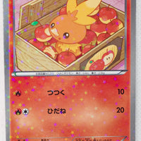 BW Shiny Collection 005/020 Torchic Holo 1st Edition