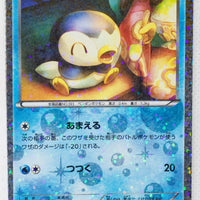 BW Shiny Collection 006/020 Piplup Holo 1st Edition