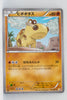 XY CP2 Legendary Shiny Collection 013/027	Hippopotas 1st Edition Holo