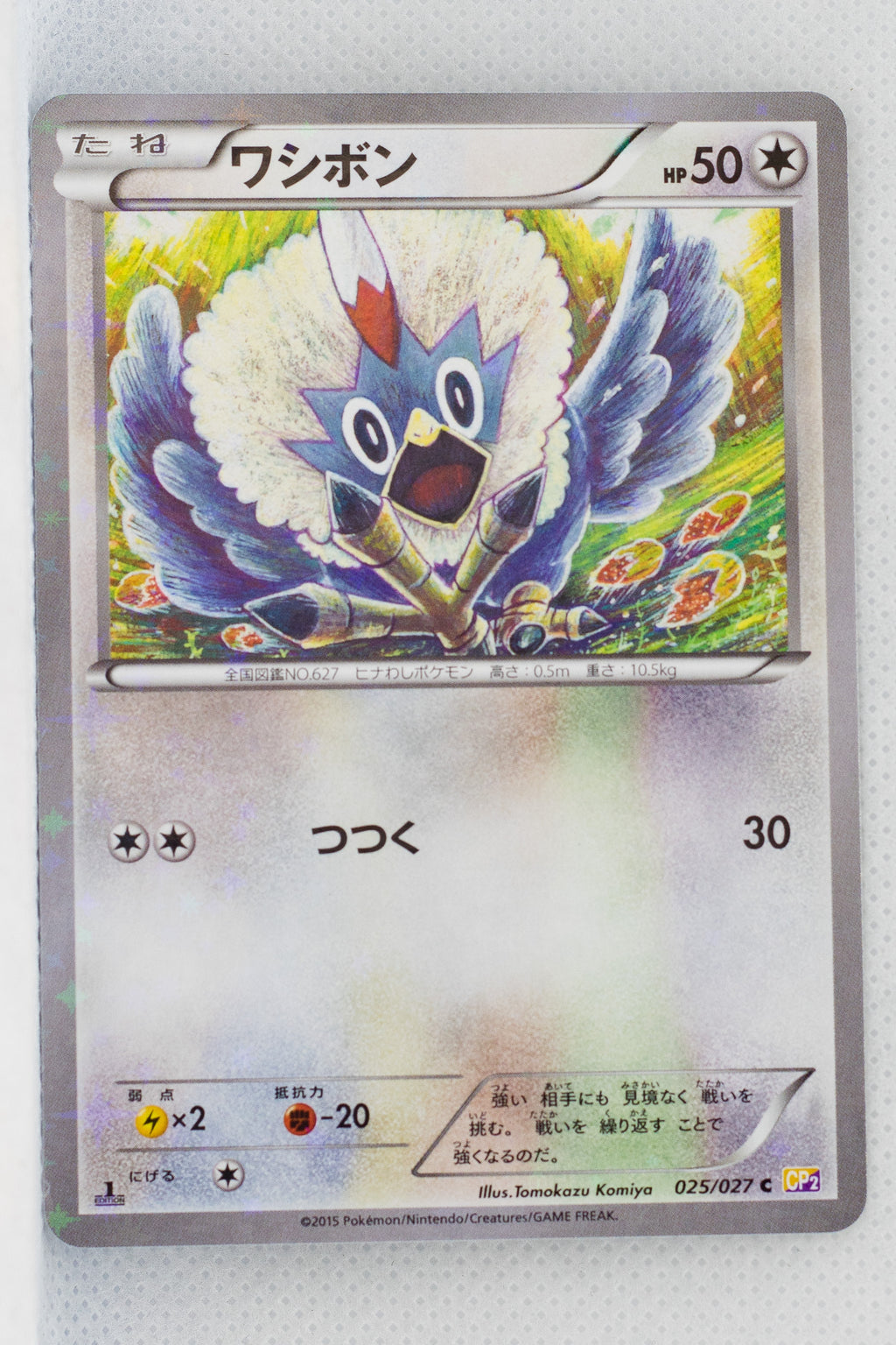 XY CP2 Legendary Shiny Collection 025/027	Rufflet 1st Edition Holo