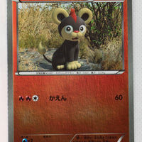 XY CP4 Premium Champion Pack 020/131 Litleo Reverse Holo