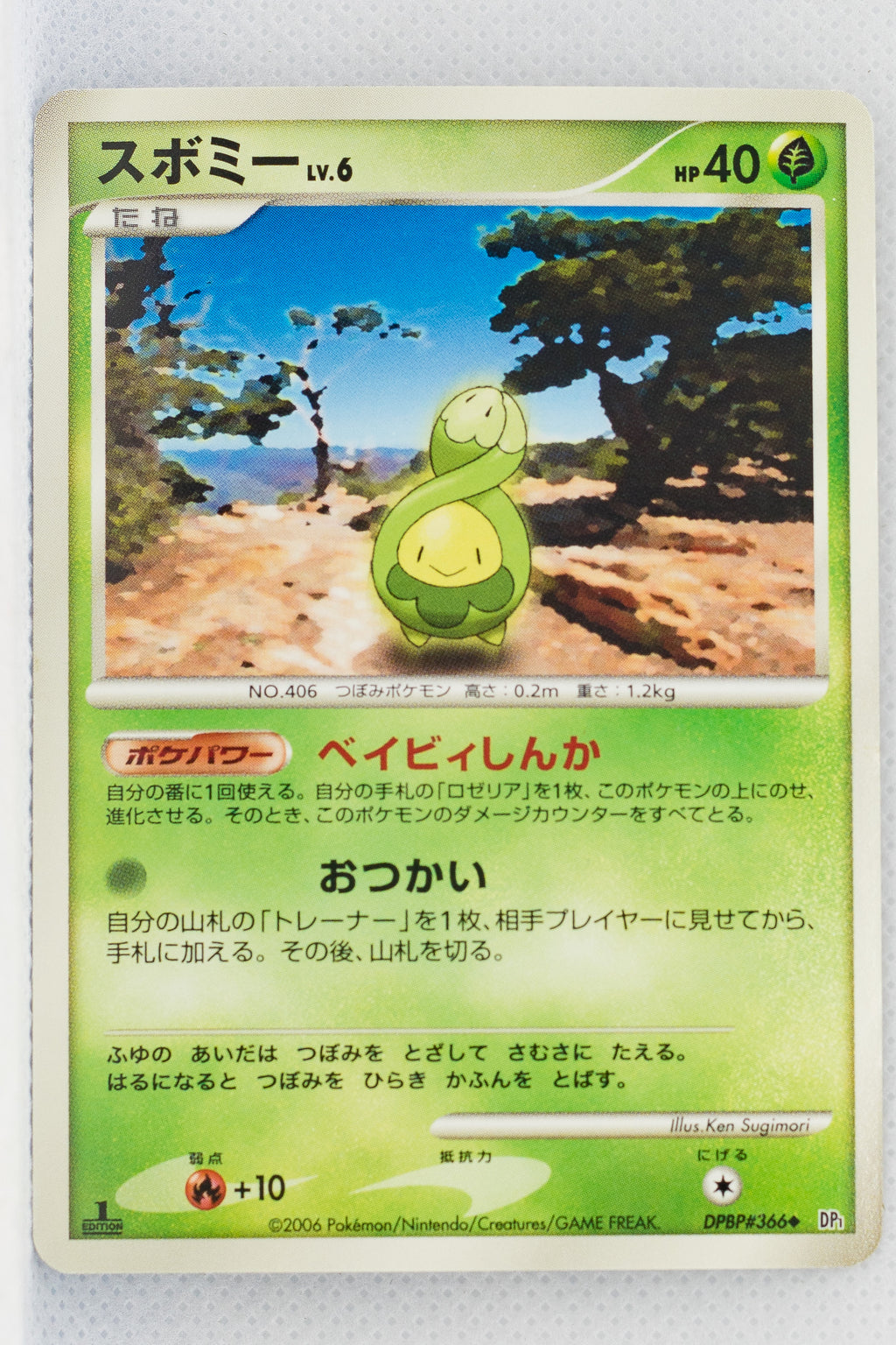 DP1 Space-Time Creation Budew 1st Edition