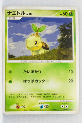 DP1 Space-Time Creation Turtwig