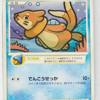 DP2 Secret of the Lakes Buizel 1st Edition