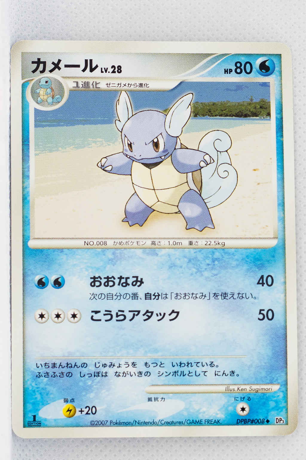 DP3 Shining Darkness Wartortle 1st Ed