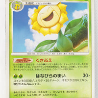 DP3 Shining Darkness Sunflora Rare