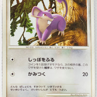 DP3 Shining Darkness Rattata