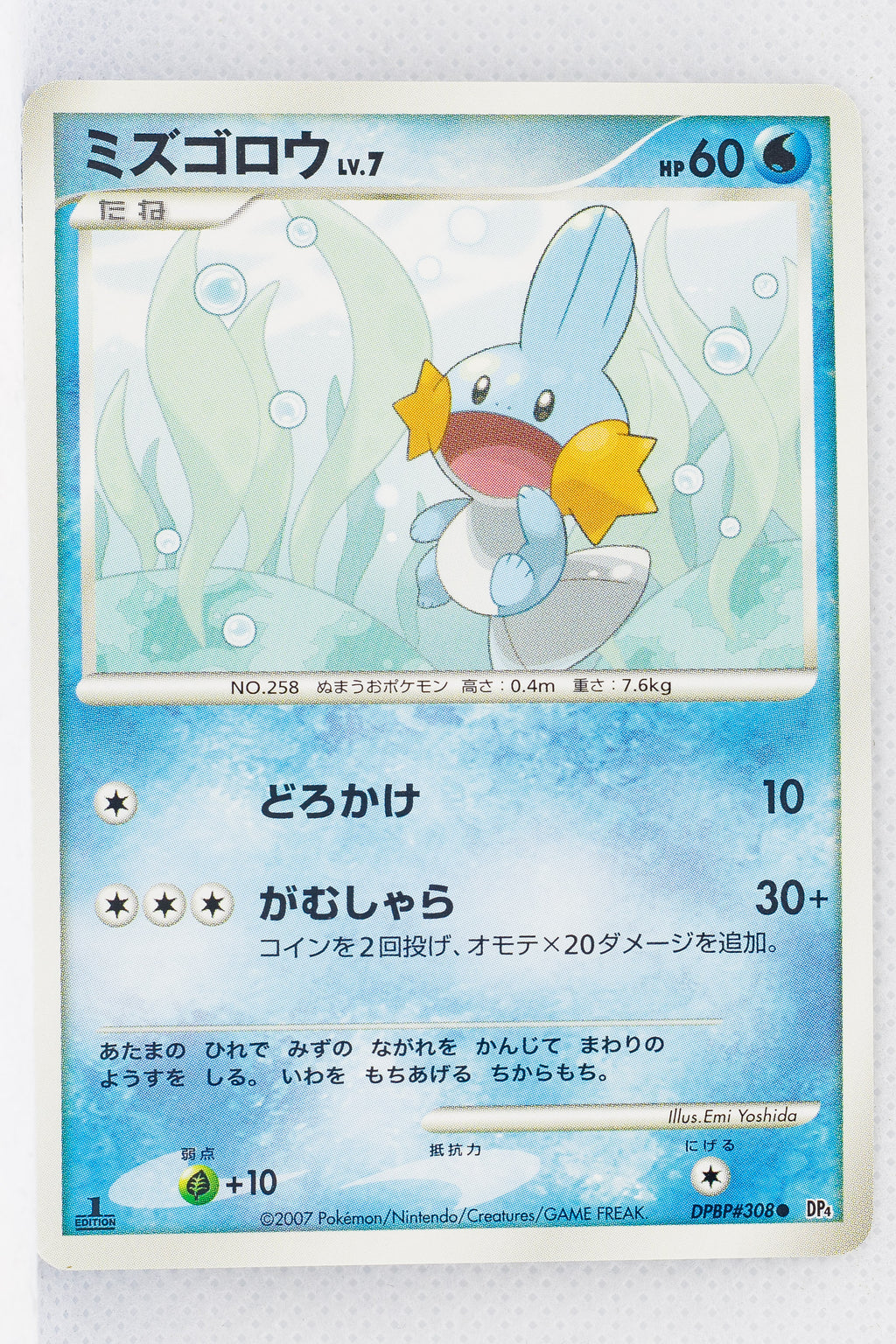 DP4 Moonlit Pursuit Mudkip 1st Edition