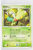 DP4 Dash at Dawn Treecko 1st Edition