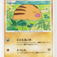 DP6 Intense Fight in the Sky 054/092 Swinub 1st Edition