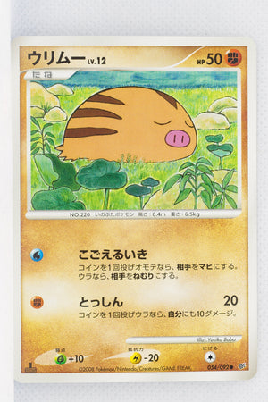 DP6 Intense Fight in the Sky 054/092 Swinub 1st Edition