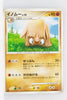 DP6 Intense Fight in the Sky 055/092 Piloswine 1st Edition