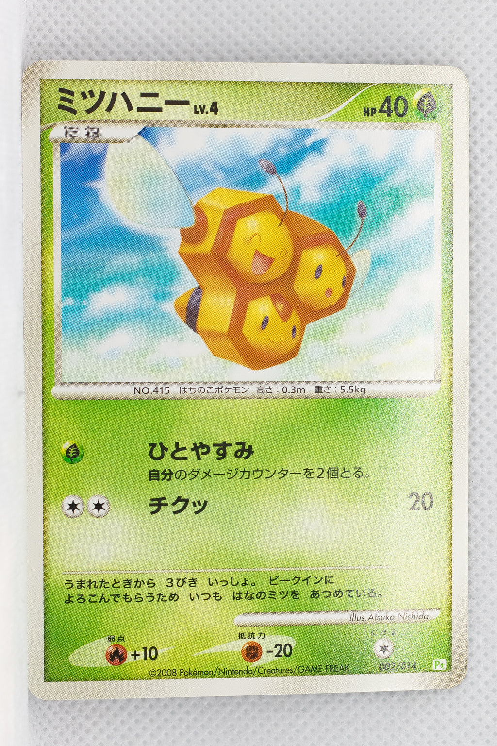 2008 DPt Gift Box Turtwig Deck 002/014 Combee