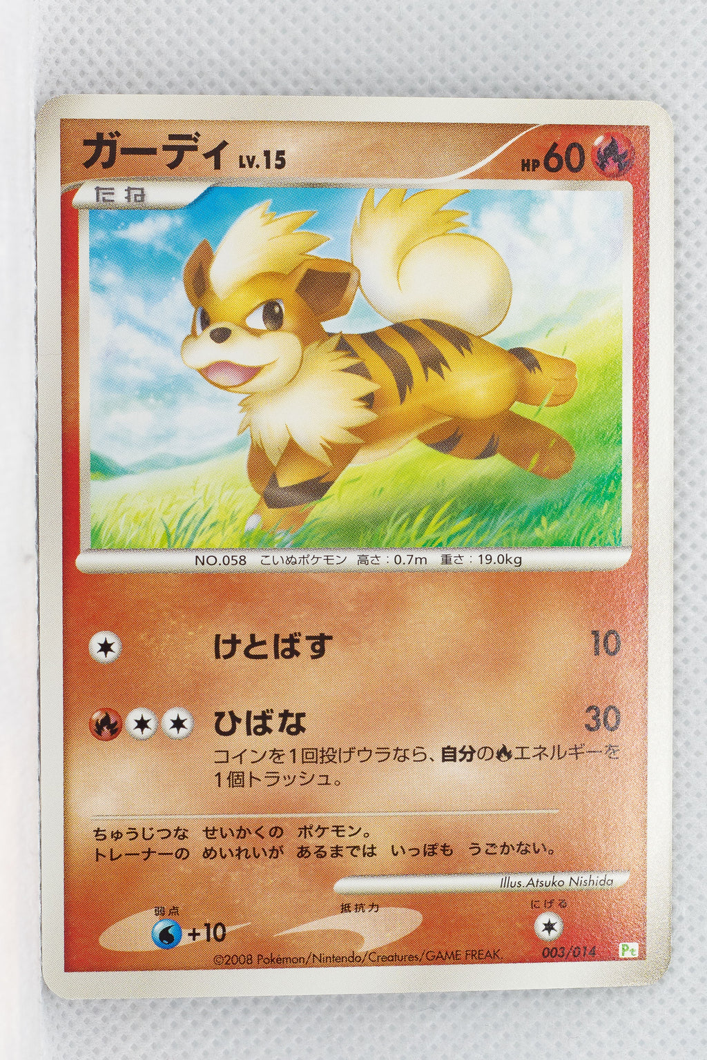 2008 DPt Gift Box Turtwig Deck 003/014 Growlithe