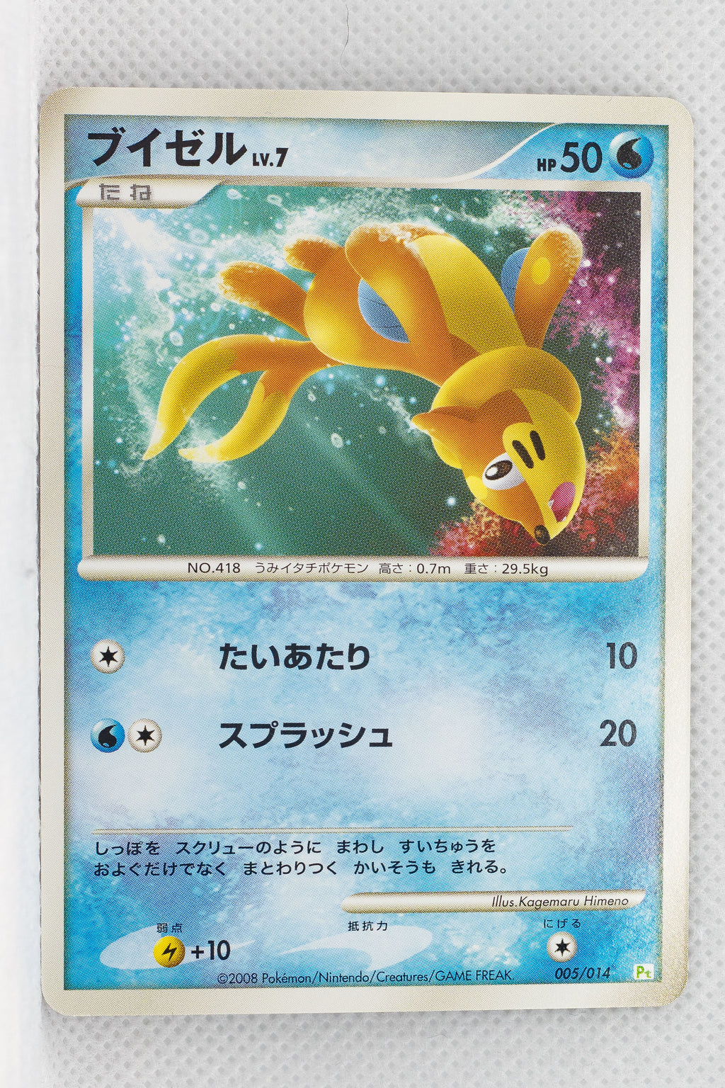 2008 DPt Gift Box Turtwig Deck 005/014 Buizel