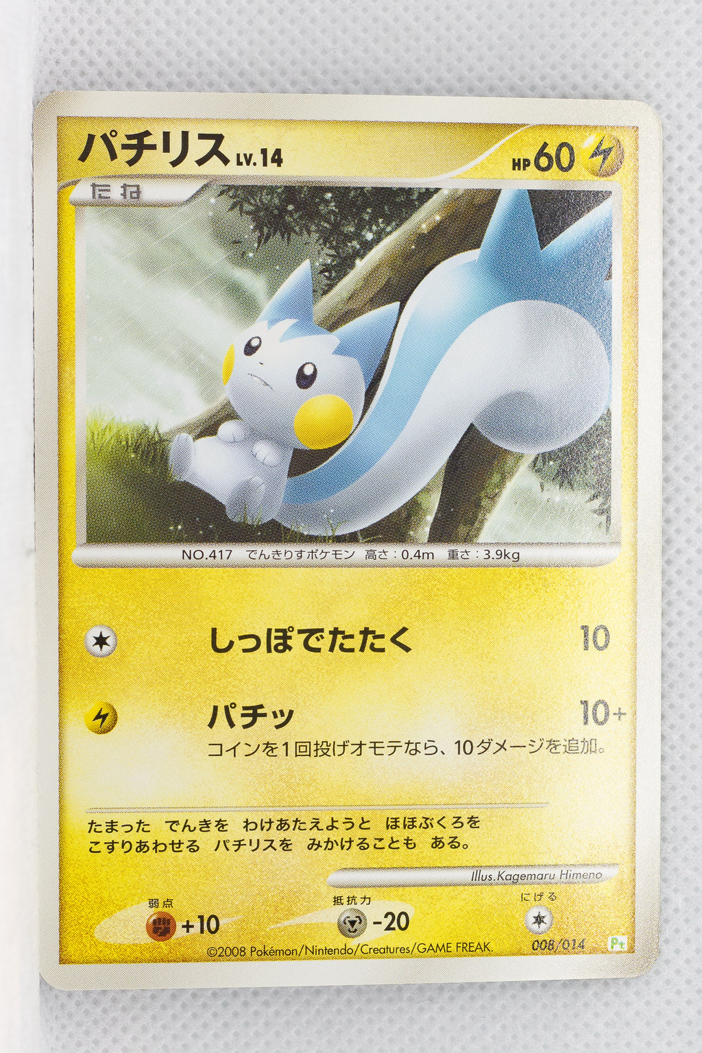 2008 DPt Gift Box Turtwig Deck 008/014 Pachirisu