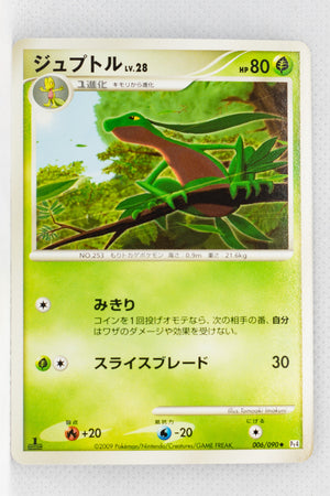 Pt4 Advent of Arceus 006/090 Grovyle 1st Edition