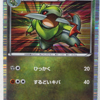 Japanese BW Dragon Selection 015/020 Fraxure Holo 1st Edition