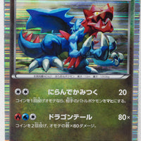 Japanese BW Dragon Selection 017/020 Druddigon Holo 1st Edition