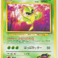 Tamamushi City Gym (Erika) Deck - Erika's Victreebel LV.37 (No Rarity Symbol)