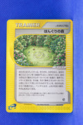 E3 084/087 Unlimited Apricorn Forest Uncommon