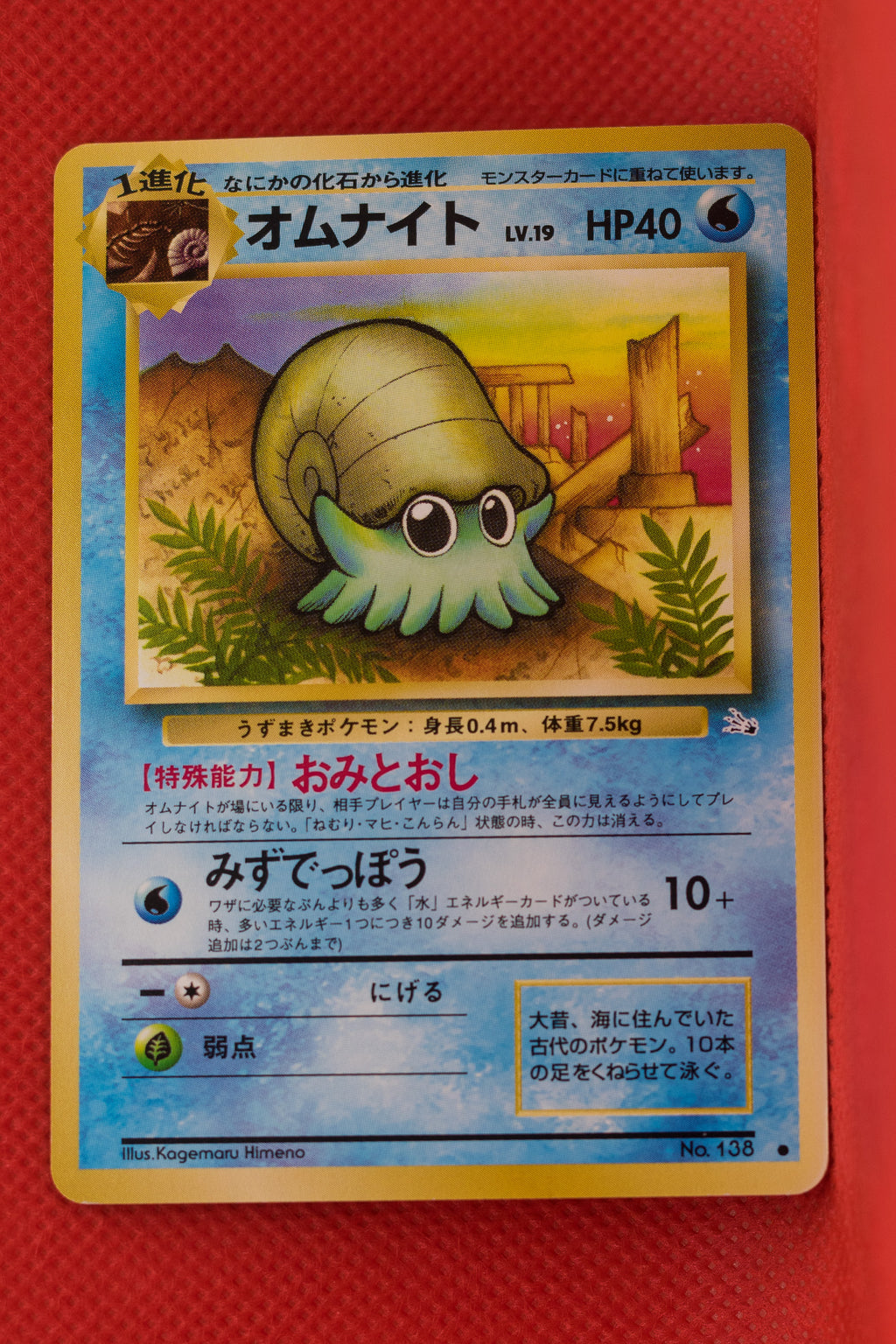 Fossil Japanese  Omanyte 138 Common