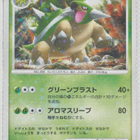 2008 DPt Entry Pack -  Giratina Deck 003/013 Torterra Holo 1st Edition