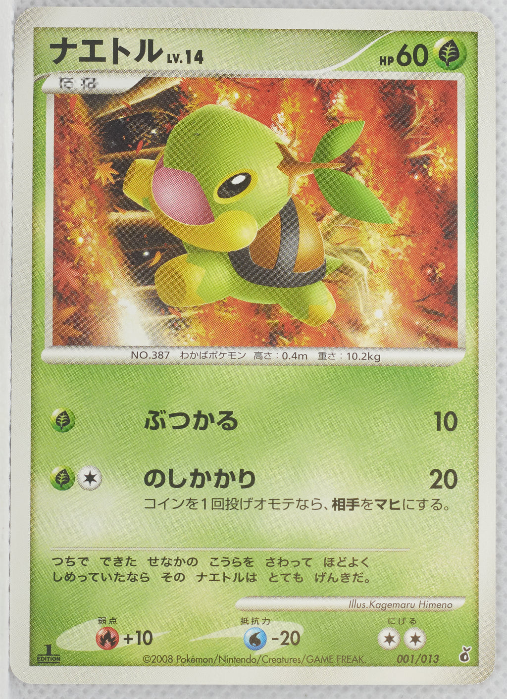 2008 DPt Entry Pack -  Giratina Deck 001/013 Turtwig 1st Edition