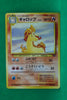 Jungle Japanese Rapidash 078 Uncommon