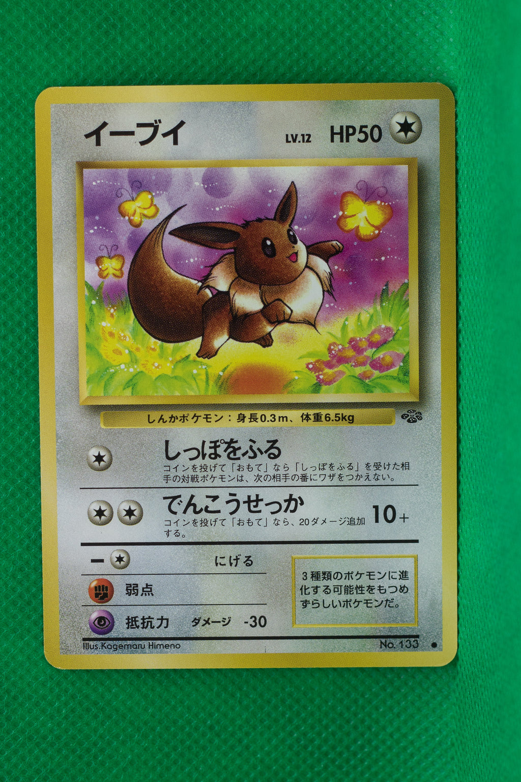 Jungle Japanese Eevee 133 Common