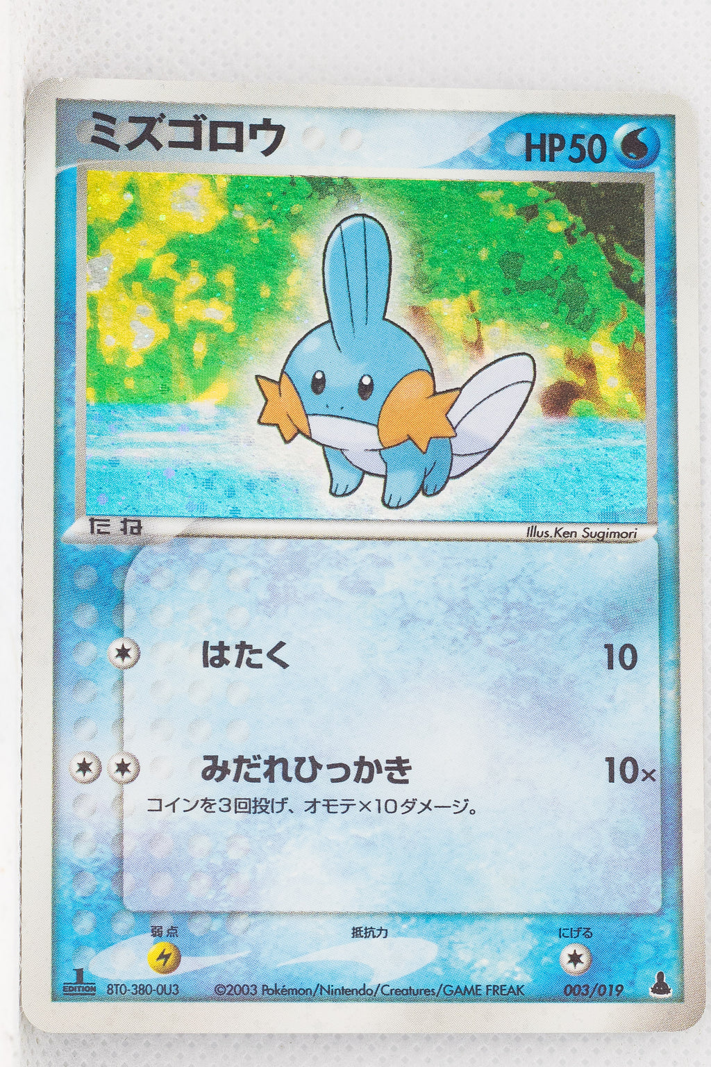 2003 Japanese Mudkip Starter Deck 003/019 Mudkip Holo 1st Edition