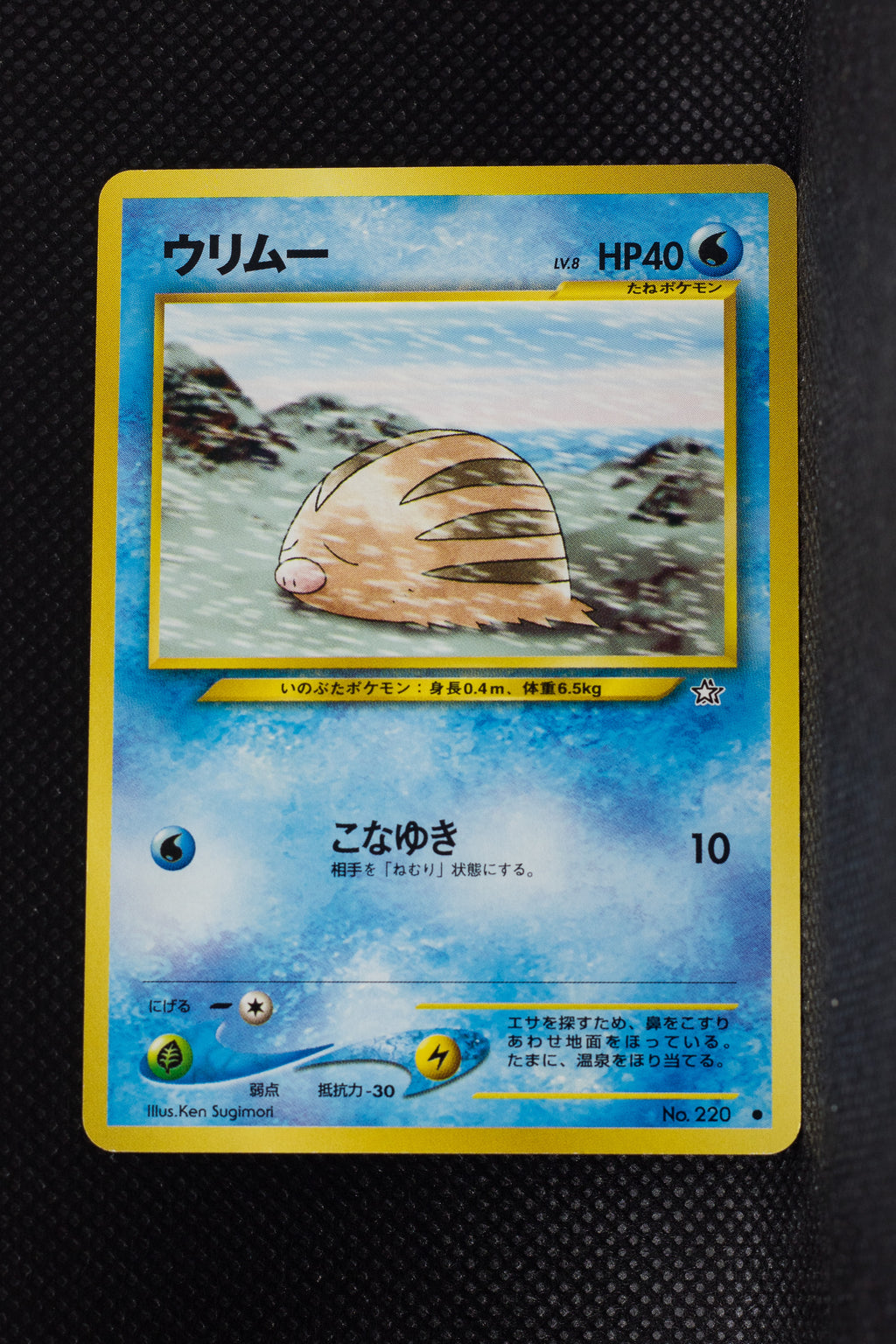 Neo 1 Japanese Swinub 220 Common