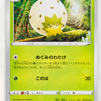 s1H Shield 005/060 Eldegoss