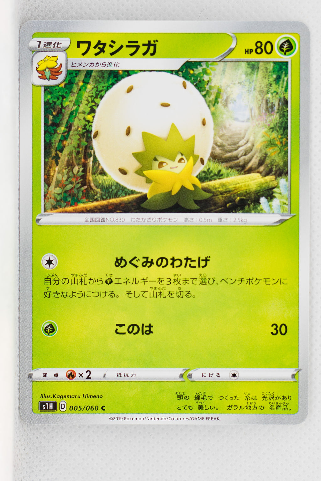 s1H Shield 005/060 Eldegoss