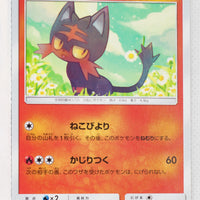 SM10 Double Blaze 014/095 Litten