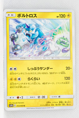 SM10a GG End 012/054	Thundurus