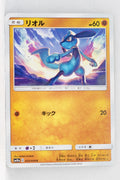 SM10a GG End 025/054 Riolu