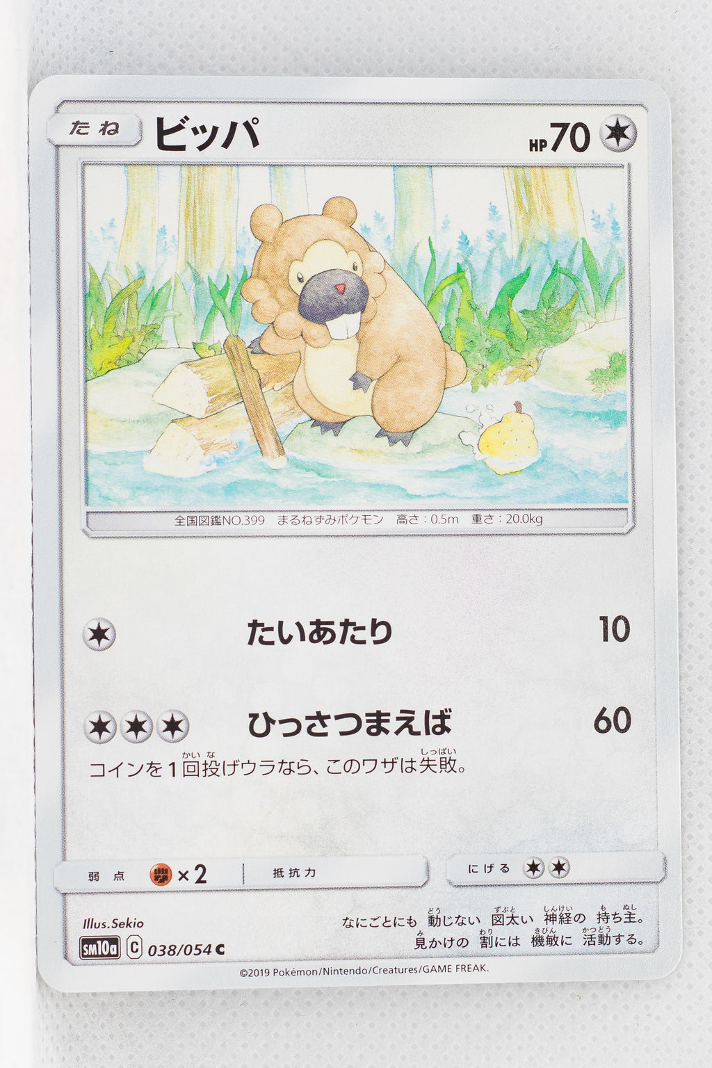 SM10a GG End 038/054 Bidoof