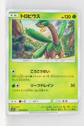 SM11a Remix Bout 005/064 Tropius