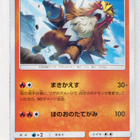 SM11a Remix Bout 011/064 Entei