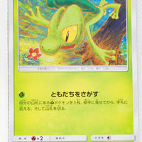 SM12a Tag All Stars 008/173 Treecko