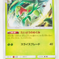 SM12a Tag All Stars 009/173 Grovyle