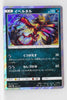 SM12a Tag All Stars 080/173 Yveltal Holo