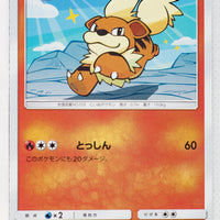 SM1 Collection Sun 009/060 Growlithe